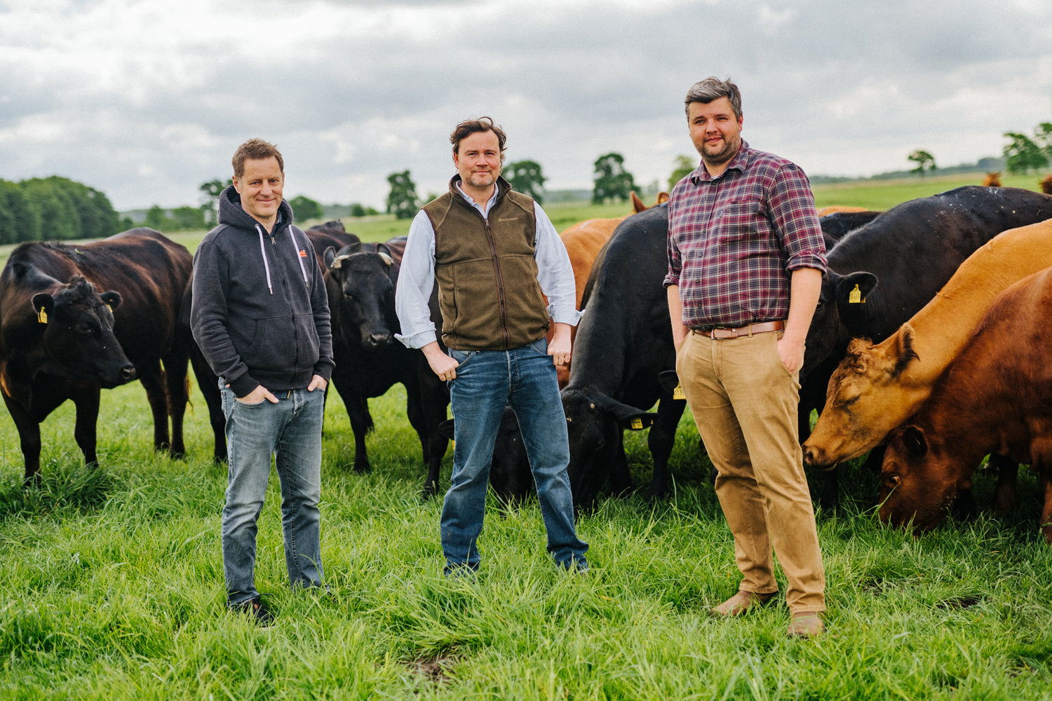 Folkert Koopmans, Sebastian Fietze und Andreas Winter präsentieren ihre Wagyu Rinder auf der Weide auf der Krautsand Farm